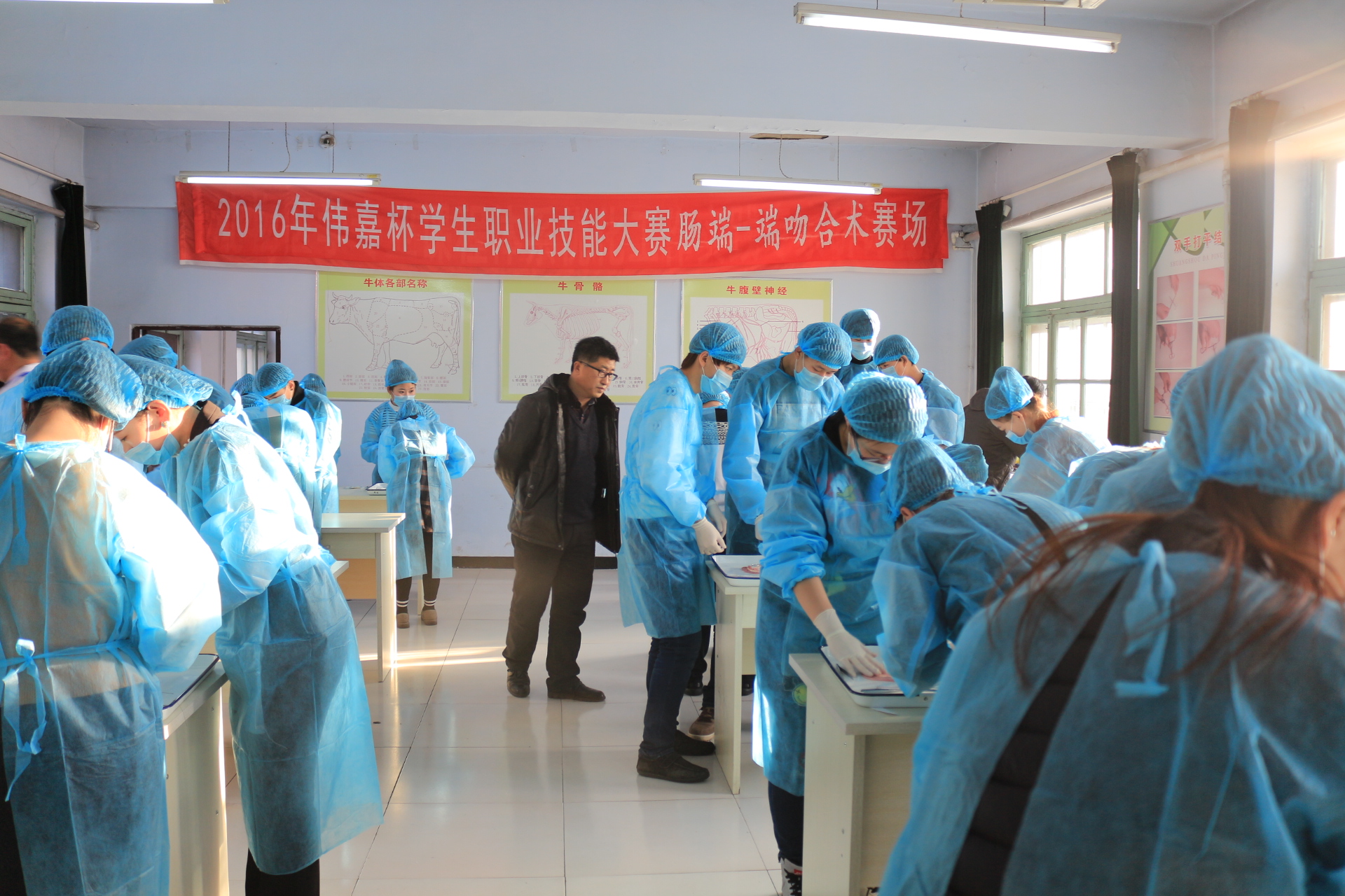 永利3544am登录官网伟嘉杯学生职业技能大赛“肠端-端吻合术”赛场