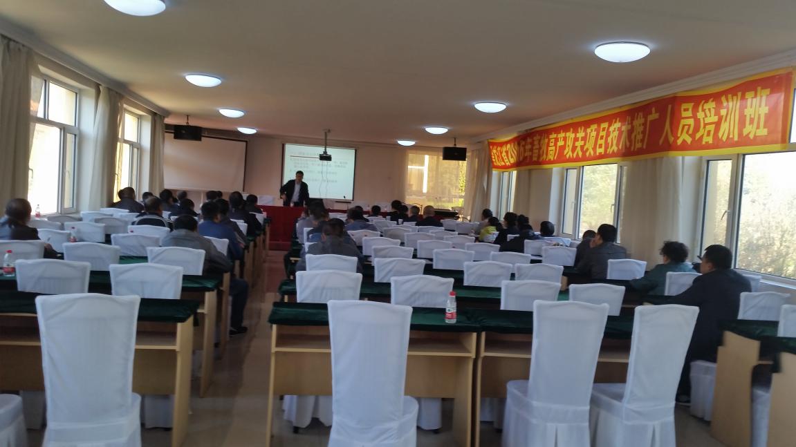 吴学军老师在伊春培训讲课现场