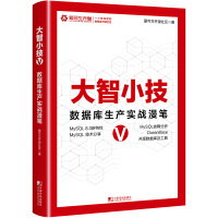 大智小技
